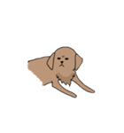 表情豊かな茶色い犬（個別スタンプ：25）