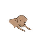表情豊かな茶色い犬（個別スタンプ：26）