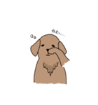 表情豊かな茶色い犬（個別スタンプ：28）
