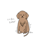 表情豊かな茶色い犬（個別スタンプ：29）
