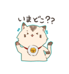 にゃんちースタンプ（個別スタンプ：5）