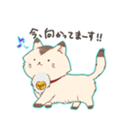 にゃんちースタンプ（個別スタンプ：13）