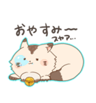 にゃんちースタンプ（個別スタンプ：18）