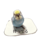 おもちとおこめ（個別スタンプ：6）