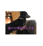 大阪弁くうちゃんスタンプ（個別スタンプ：7）