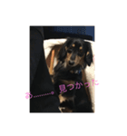 大阪弁くうちゃんスタンプ（個別スタンプ：8）