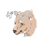 ダメダメのクマちゃん 使い勝手良ver.（個別スタンプ：13）