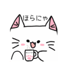 にゃこけけ（個別スタンプ：6）