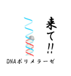 理系のための DNA スタンプ（個別スタンプ：4）
