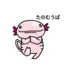 ウーパールーパーのうぱお（個別スタンプ：2）