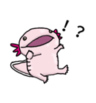 ウーパールーパーのうぱお（個別スタンプ：4）