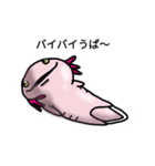 ウーパールーパーのうぱお（個別スタンプ：7）