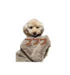 アーチ君（個別スタンプ：7）