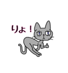 ねこ、フリースタイル I（個別スタンプ：3）