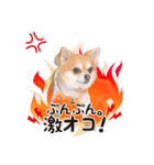 やっぱりココ（個別スタンプ：2）