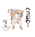 やっぱりココ（個別スタンプ：3）