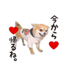 やっぱりココ（個別スタンプ：5）