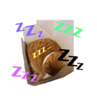 ゆめちゃんマン（個別スタンプ：5）
