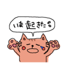 にゃんきちの日常会話（個別スタンプ：23）