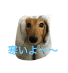 宮崎家のももちゃん（個別スタンプ：2）