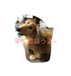 宮崎家のももちゃん（個別スタンプ：3）