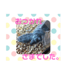 サカナやで（個別スタンプ：3）