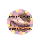 サカナやで（個別スタンプ：7）