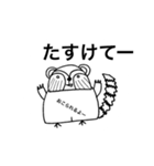 ワラウグマまじめ（個別スタンプ：17）