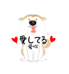 かわいい柴犬4(中国語付き)（個別スタンプ：11）