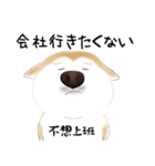 かわいい柴犬4(中国語付き)（個別スタンプ：13）