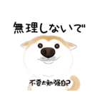 かわいい柴犬4(中国語付き)（個別スタンプ：21）