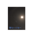 呟き編(一言)（個別スタンプ：4）