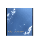 呟き編(一言)（個別スタンプ：5）