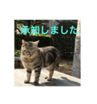 道で出会った皆様方  ❶（個別スタンプ：2）