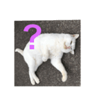 道で出会った皆様方  ❶（個別スタンプ：3）