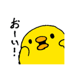 もっちりひよこの日常系スタンプ（個別スタンプ：39）