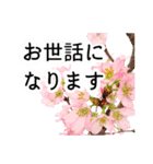 暮らしに花を♪桜(敬語)（個別スタンプ：1）