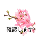暮らしに花を♪桜(敬語)（個別スタンプ：2）