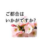 暮らしに花を♪桜(敬語)（個別スタンプ：4）