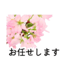 暮らしに花を♪桜(敬語)（個別スタンプ：8）