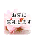 暮らしに花を♪桜(敬語)（個別スタンプ：9）