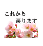 暮らしに花を♪桜(敬語)（個別スタンプ：14）