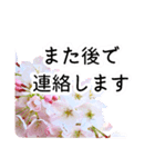 暮らしに花を♪桜(敬語)（個別スタンプ：17）