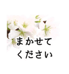 暮らしに花を♪桜(敬語)（個別スタンプ：19）