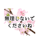 暮らしに花を♪桜(敬語)（個別スタンプ：20）