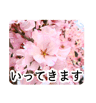 暮らしに花を♪桜(敬語)（個別スタンプ：22）
