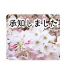 暮らしに花を♪桜(敬語)（個別スタンプ：23）