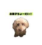 パピィちゃんの日常（個別スタンプ：7）