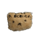 学生が使えるスタンプ（個別スタンプ：1）