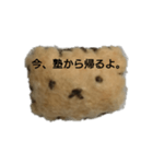 学生が使えるスタンプ（個別スタンプ：3）